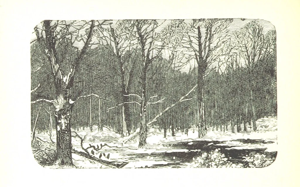 An illustration from The Lady of the Forest. [A novel, 1889, leaf 98
