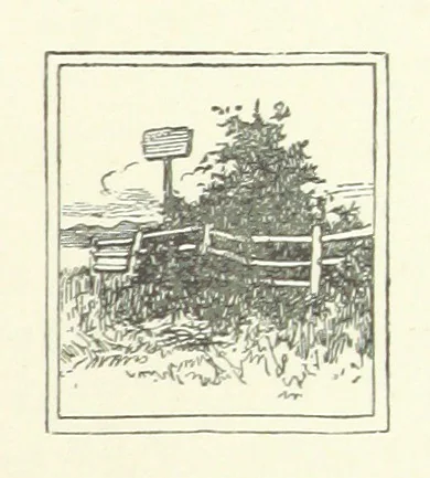 An illustration from Wild Kitty, etc, 1897, leaf 101
