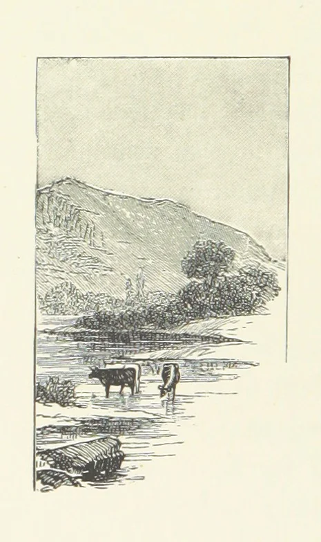 An illustration from Wild Kitty, etc, 1897, leaf 160
