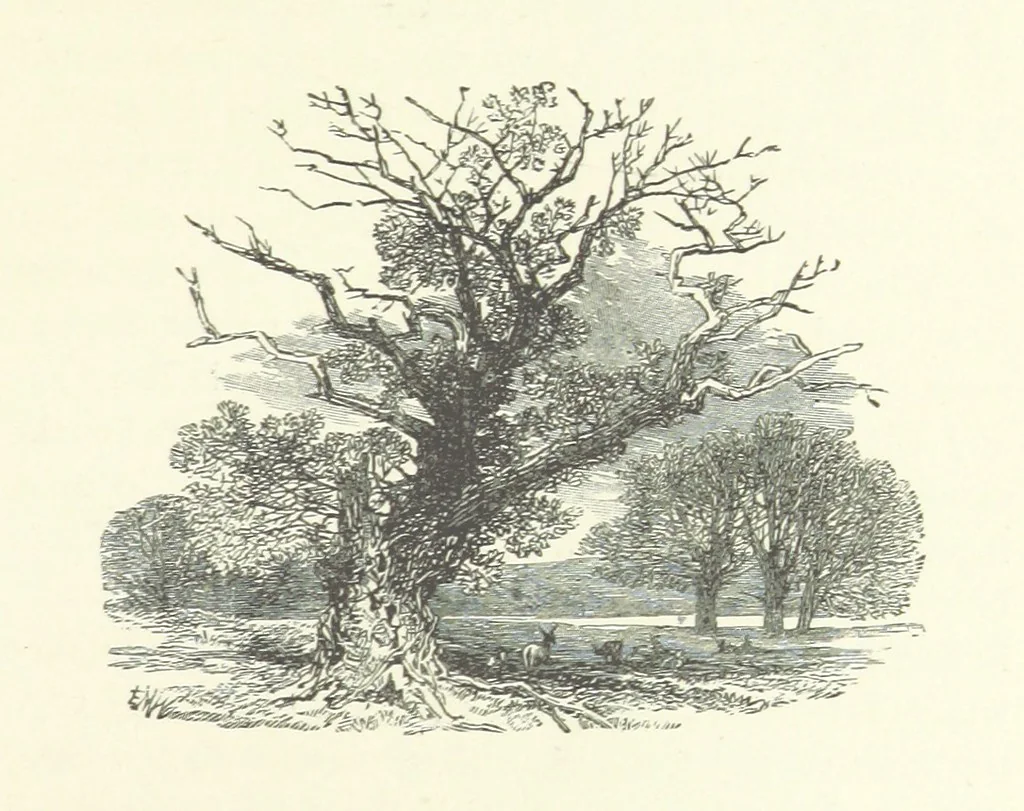 An illustration from Wild Kitty, etc, 1897, leaf 169