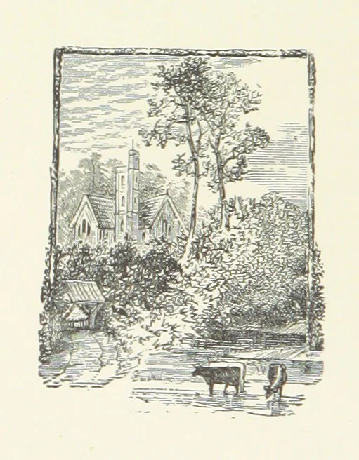 An illustration from Wild Kitty, etc, 1897, leaf 186