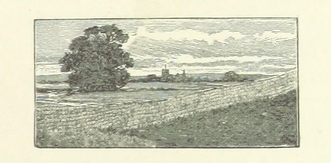 An illustration from Wild Kitty, etc, 1897, leaf 201