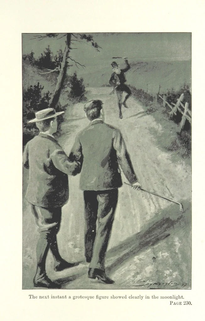 An illustration from Wild Kitty, etc, 1897, leaf 251