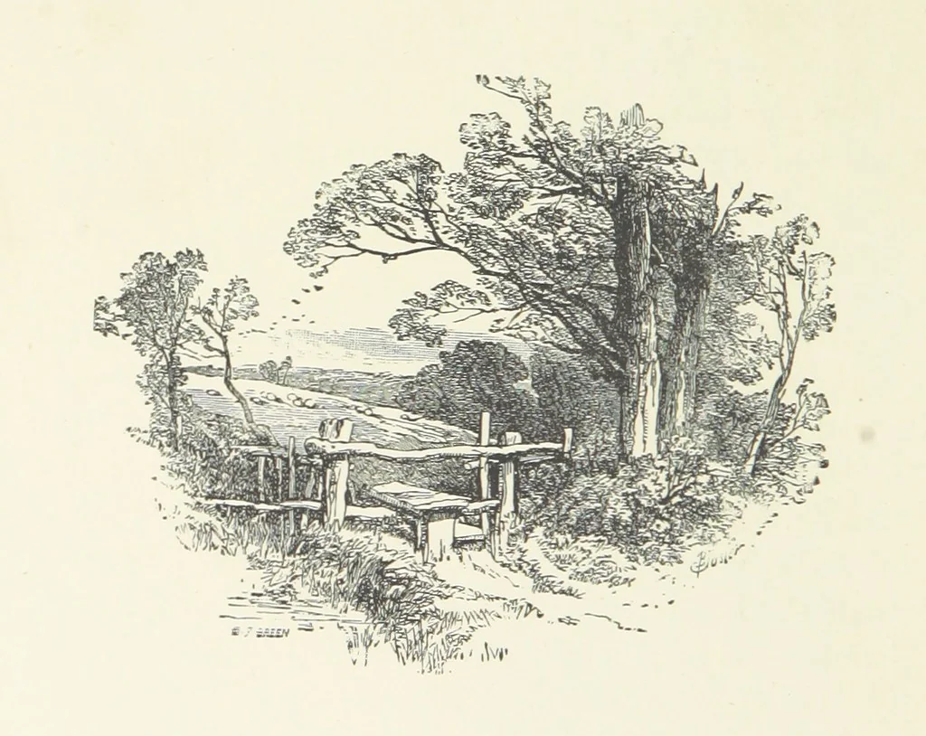 An illustration from Wild Kitty, etc, 1897, leaf 254