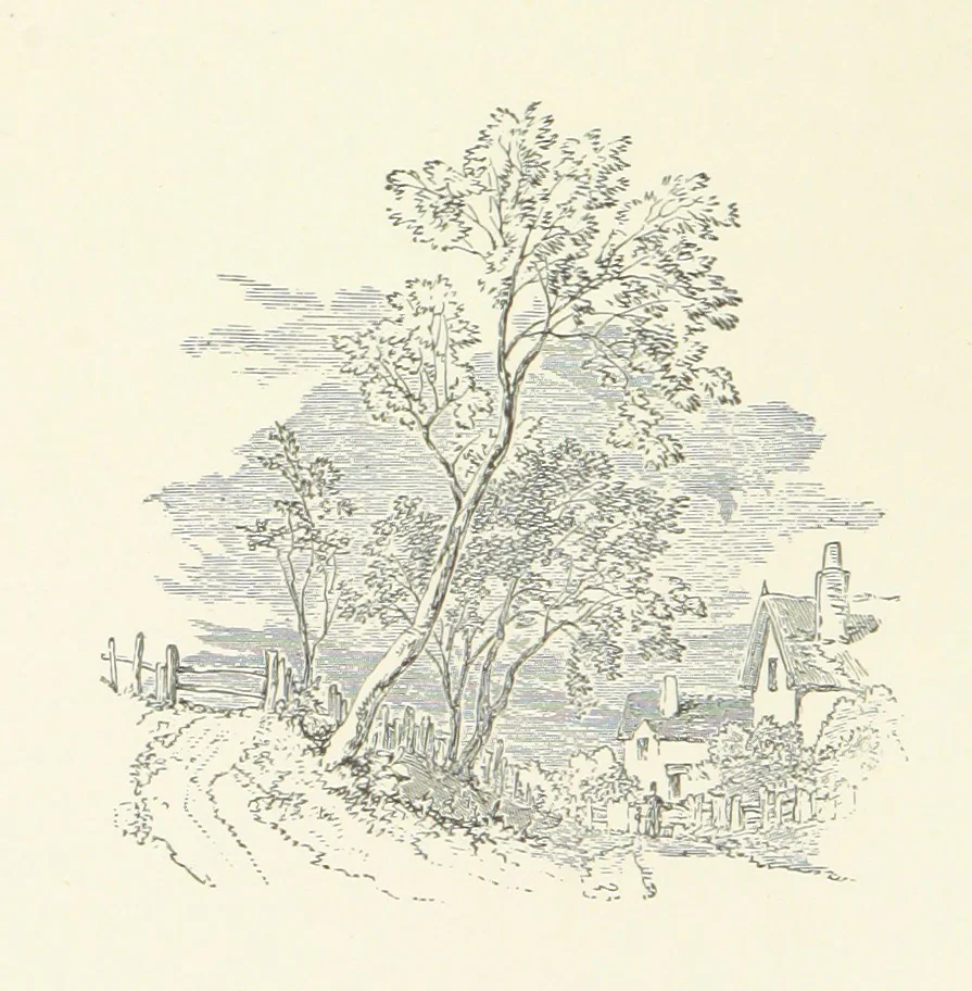An illustration from Wild Kitty, etc, 1897, leaf 26