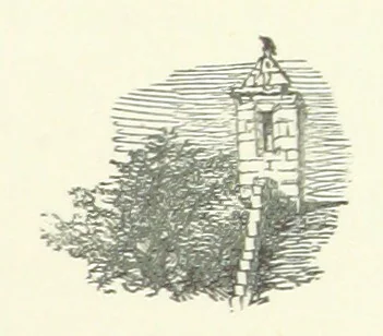 An illustration from Wild Kitty, etc, 1897, leaf 273