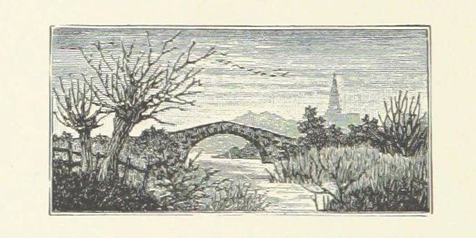 An illustration from Wild Kitty, etc, 1897, leaf 284