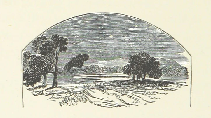 An illustration from Wild Kitty, etc, 1897, leaf 296