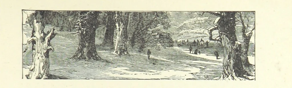 An illustration from Wild Kitty, etc, 1897, leaf 297