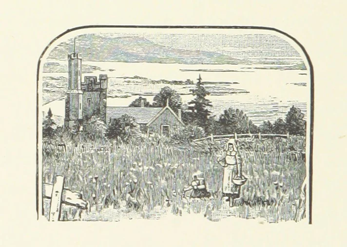 An illustration from Wild Kitty, etc, 1897, leaf 340