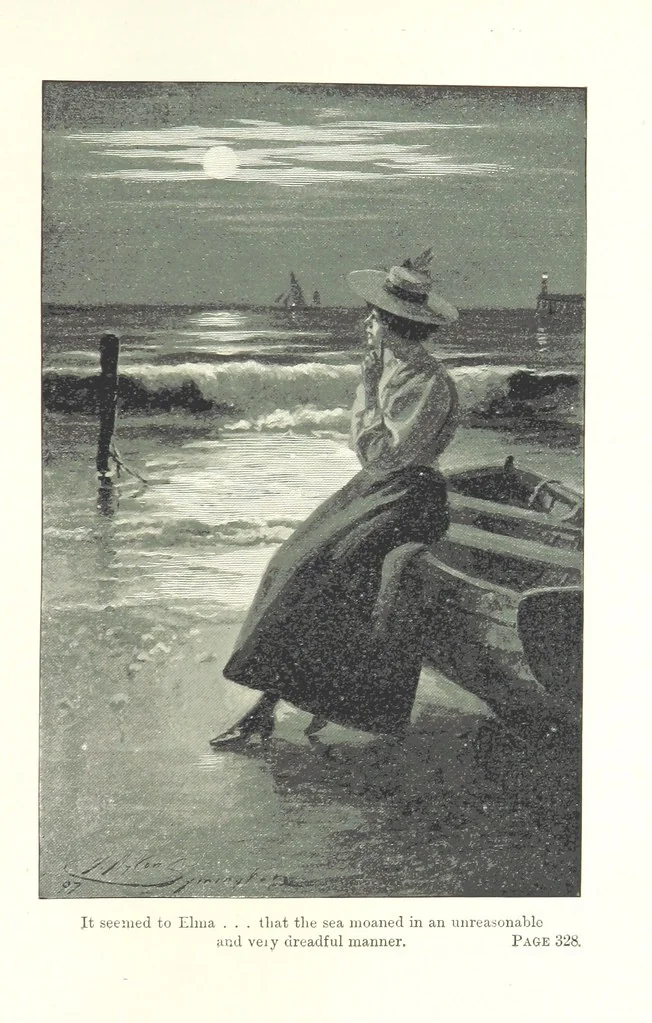 An illustration from Wild Kitty, etc, 1897, leaf 353