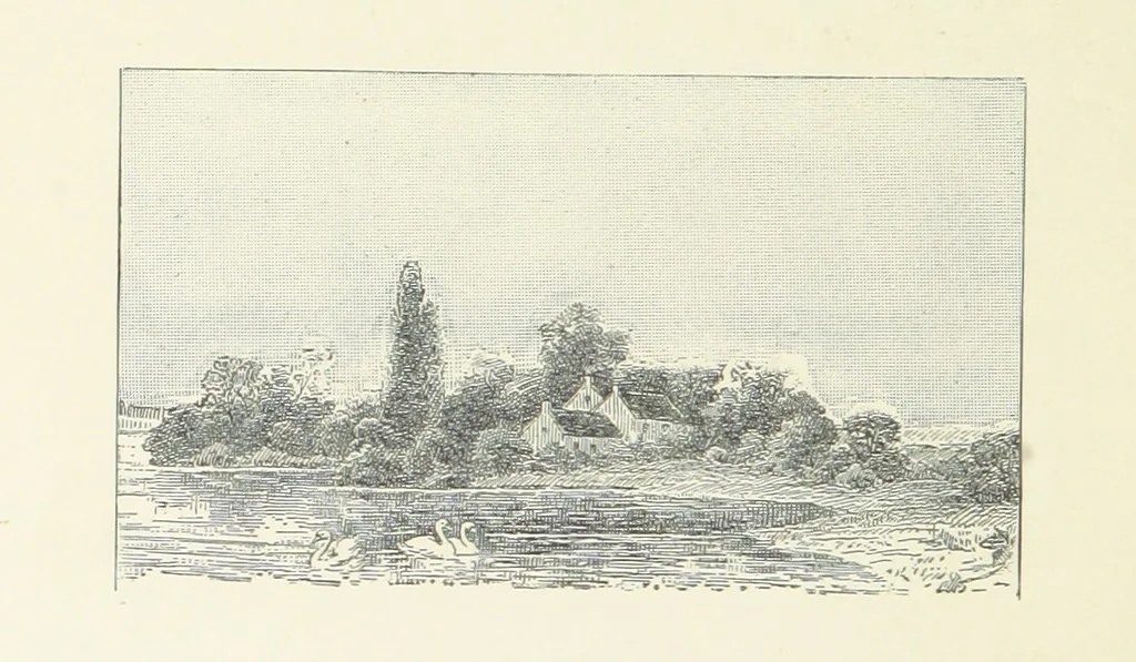 An illustration from Wild Kitty, etc, 1897, leaf 374