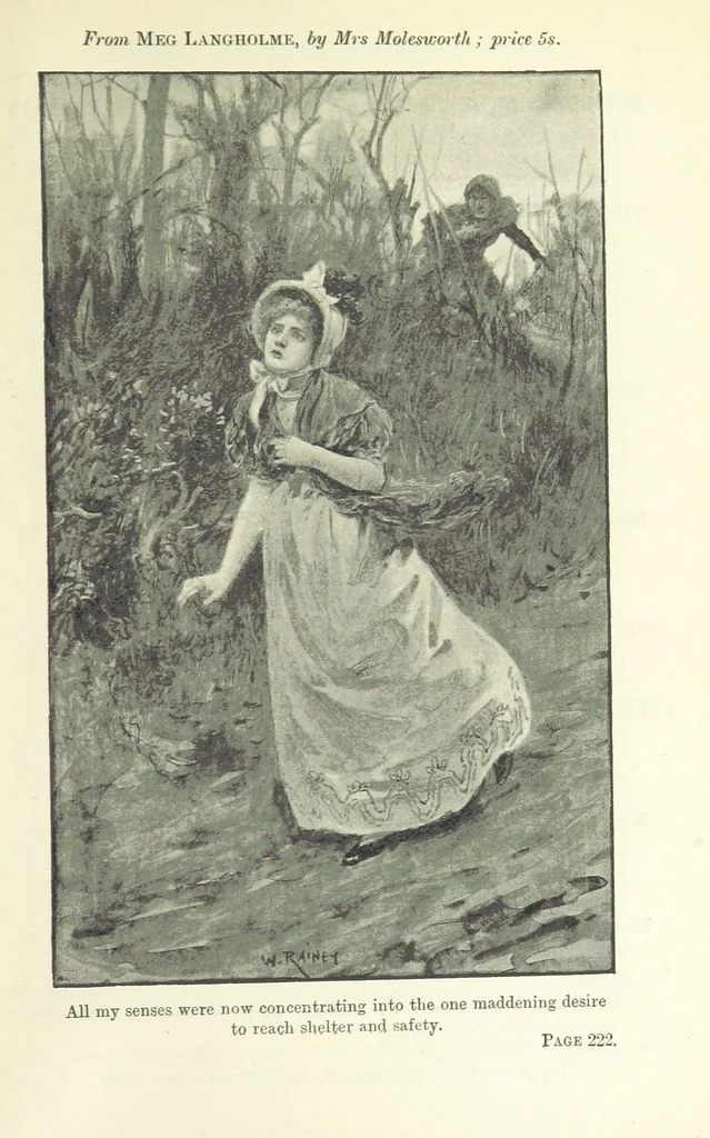 An illustration from Wild Kitty, etc, 1897, leaf 399