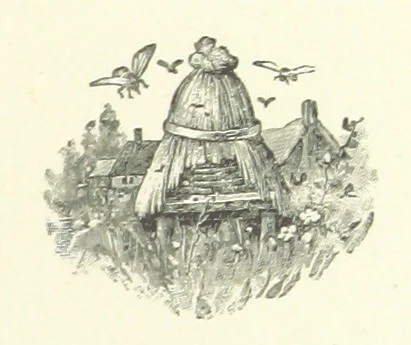 An illustration from Wild Kitty, etc, 1897, leaf 67