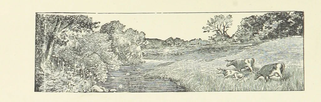 An illustration from Wild Kitty, etc, 1897, leaf 68