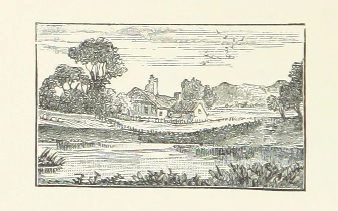 An illustration from Wild Kitty, etc, 1897, leaf 90