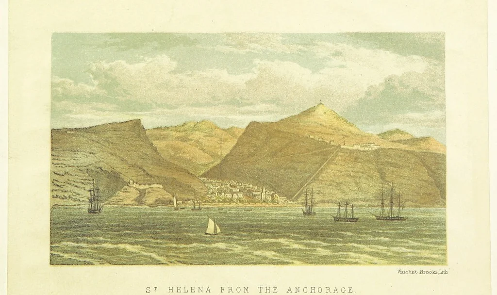 An illustration from St. Helena: a physical, historical, and topographical description of the island ... The botanical plates from original drawings by Mrs. J. C. Melliss, 1875, leaf 10