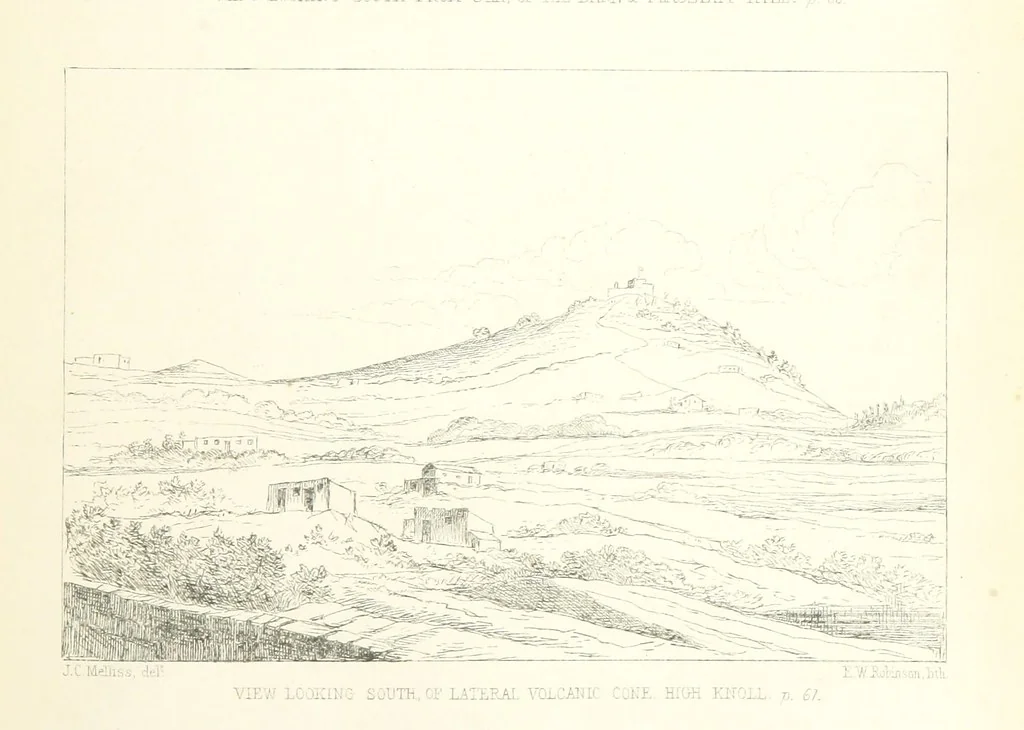 An illustration from St. Helena: a physical, historical, and topographical description of the island ... The botanical plates from original drawings by Mrs. J. C. Melliss, 1875, leaf 105