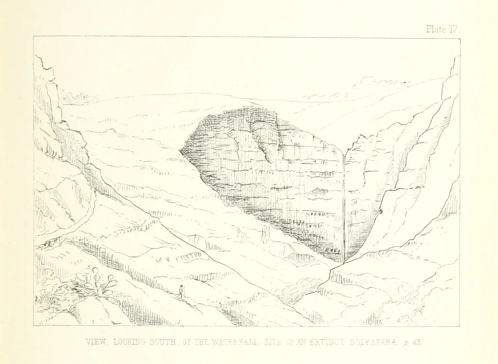 An illustration from St. Helena: a physical, historical, and topographical description of the island ... The botanical plates from original drawings by Mrs. J. C. Melliss, 1875, leaf 113