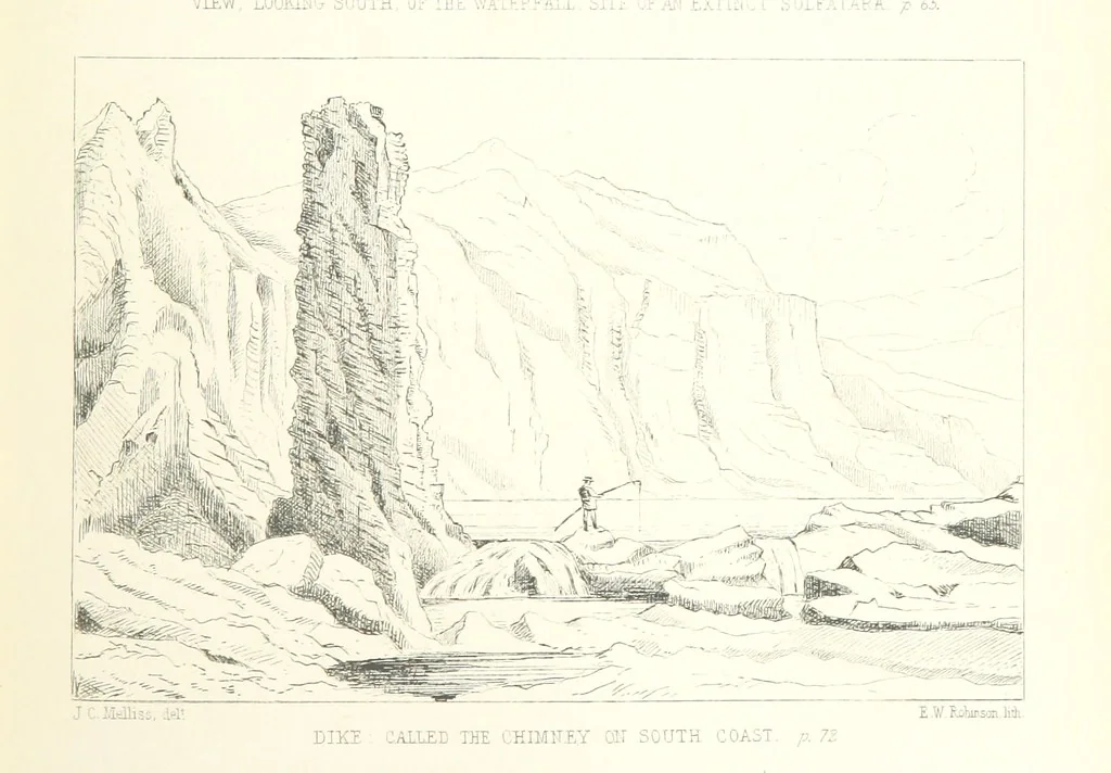 An illustration from St. Helena: a physical, historical, and topographical description of the island ... The botanical plates from original drawings by Mrs. J. C. Melliss, 1875, leaf 113
