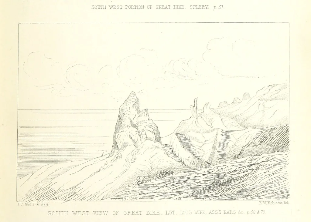An illustration from St. Helena: a physical, historical, and topographical description of the island ... The botanical plates from original drawings by Mrs. J. C. Melliss, 1875, leaf 123
