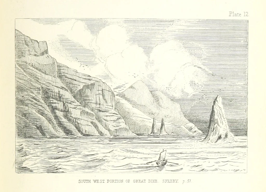An illustration from St. Helena: a physical, historical, and topographical description of the island ... The botanical plates from original drawings by Mrs. J. C. Melliss, 1875, leaf 123