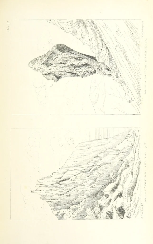 An illustration from St. Helena: a physical, historical, and topographical description of the island ... The botanical plates from original drawings by Mrs. J. C. Melliss, 1875, leaf 127