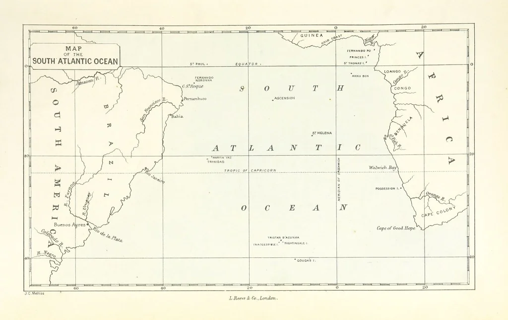 An illustration from St. Helena: a physical, historical, and topographical description of the island ... The botanical plates from original drawings by Mrs. J. C. Melliss, 1875, leaf 27