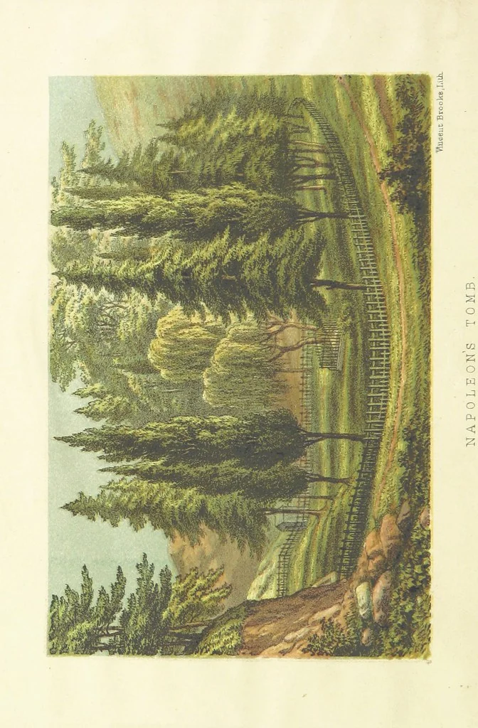 An illustration from St. Helena: a physical, historical, and topographical description of the island ... The botanical plates from original drawings by Mrs. J. C. Melliss, 1875, leaf 52
