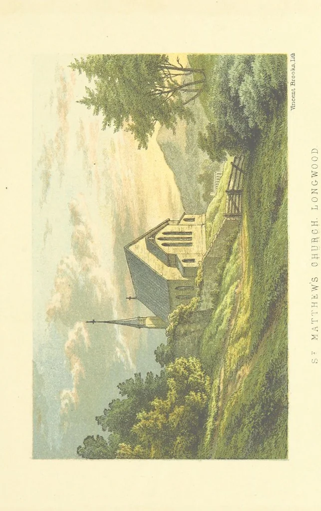 An illustration from St. Helena: a physical, historical, and topographical description of the island ... The botanical plates from original drawings by Mrs. J. C. Melliss, 1875, leaf 63