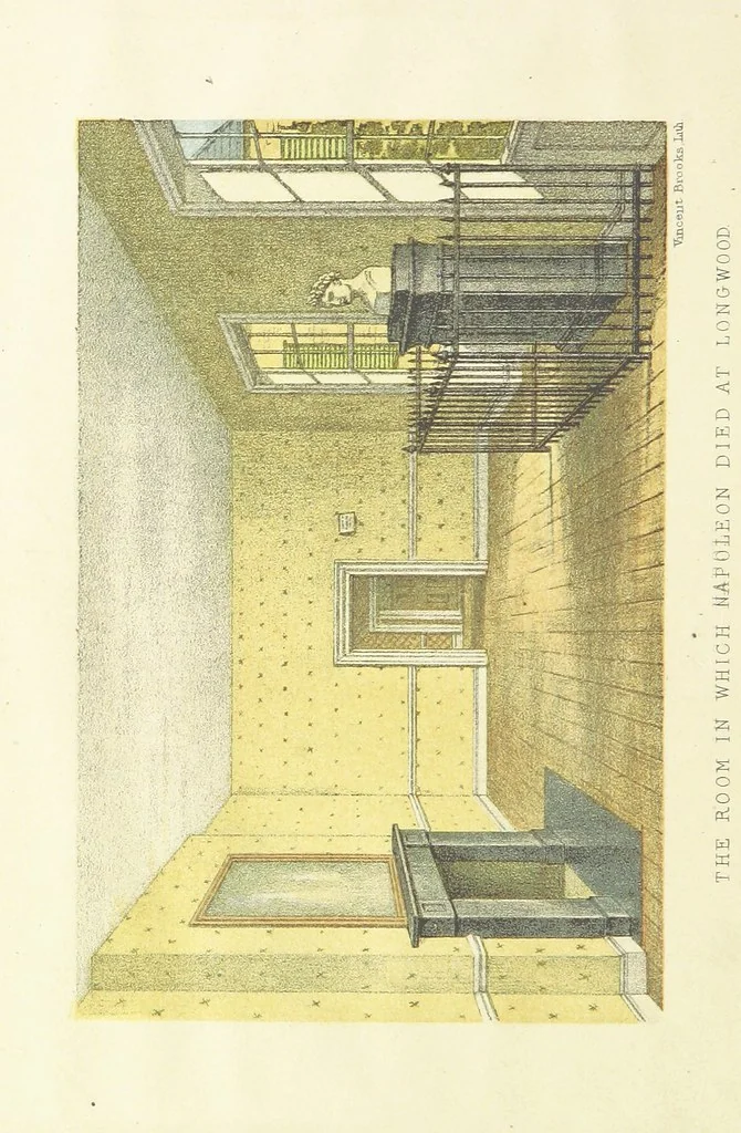 An illustration from St. Helena: a physical, historical, and topographical description of the island ... The botanical plates from original drawings by Mrs. J. C. Melliss, 1875, leaf 72
