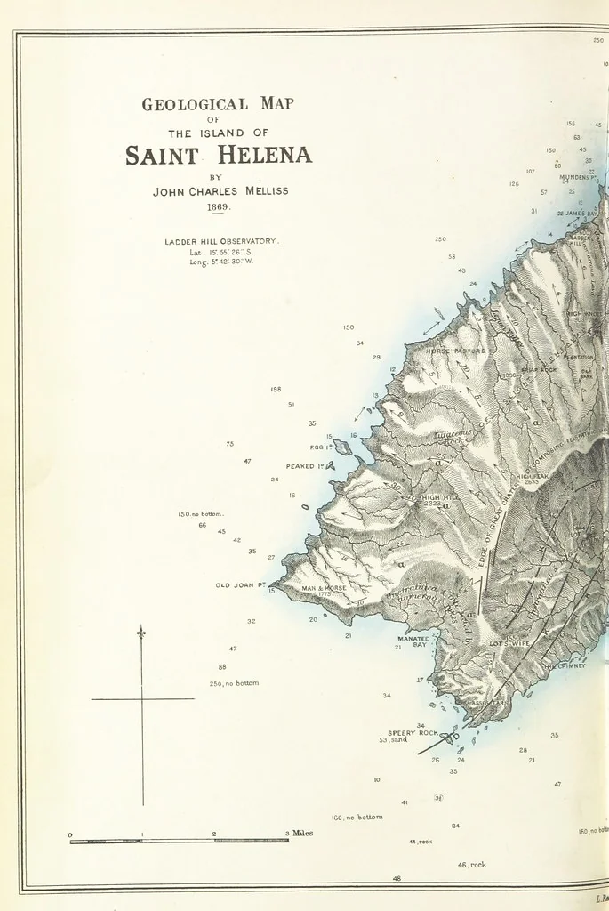 An illustration from St. Helena: a physical, historical, and topographical description of the island ... The botanical plates from original drawings by Mrs. J. C. Melliss, 1875, leaf 82
