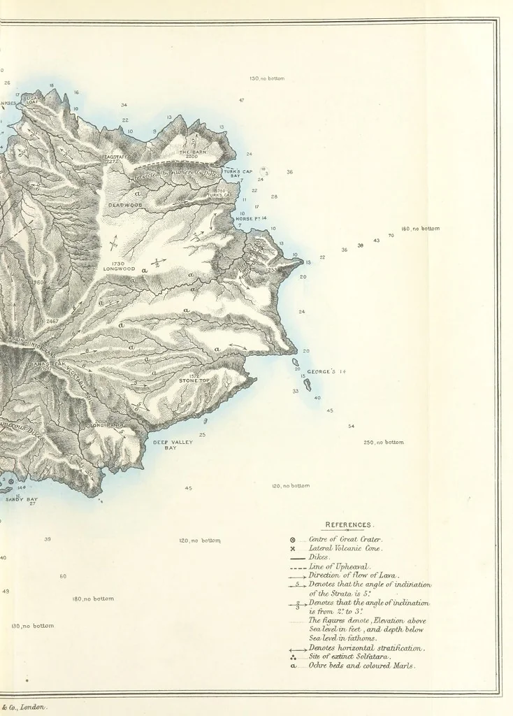 An illustration from St. Helena: a physical, historical, and topographical description of the island ... The botanical plates from original drawings by Mrs. J. C. Melliss, 1875, leaf 83