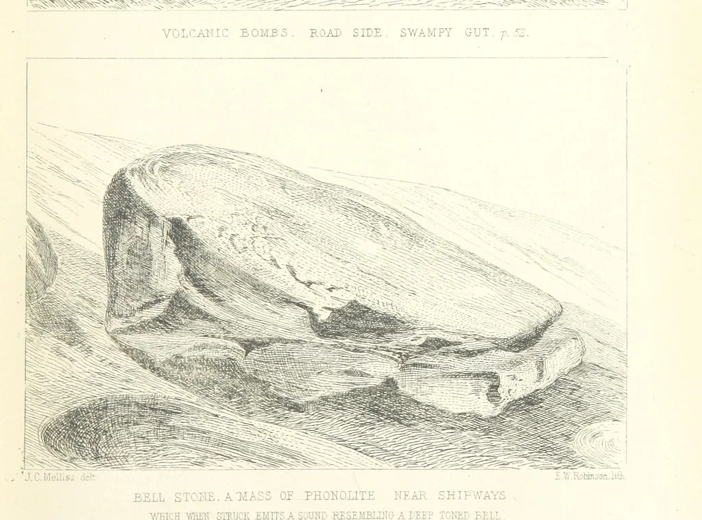 An illustration from St. Helena: a physical, historical, and topographical description of the island ... The botanical plates from original drawings by Mrs. J. C. Melliss, 1875, leaf 93