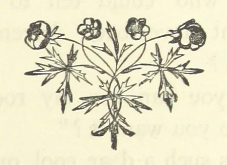 An illustration from Arum Field: or, Life's Reality. [A tale, 1891, leaf 323