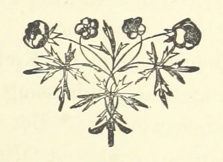 An illustration from Arum Field: or, Life's Reality. [A tale, 1891, leaf 395