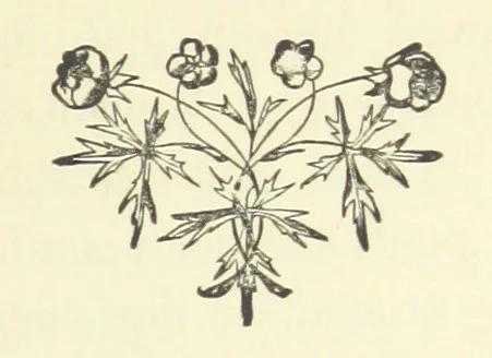 An illustration from Arum Field: or, Life's Reality. [A tale, 1891, leaf 49