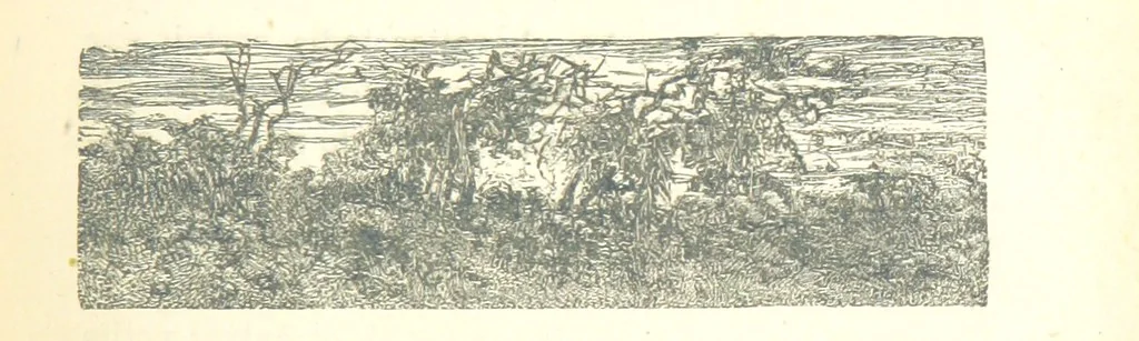 An illustration from Histoire de France. Deuxième édition, 1876, leaf 133