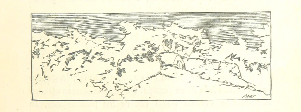 An illustration from Histoire de France. Deuxième édition, 1876, leaf 381