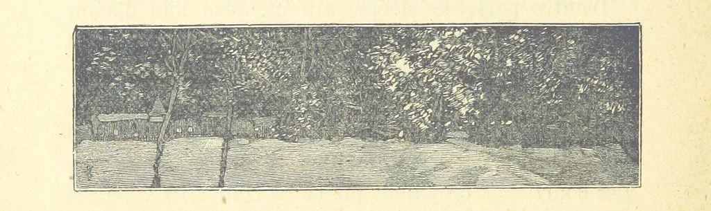 An illustration from Histoire de France. Deuxième édition, 1876, leaf 496