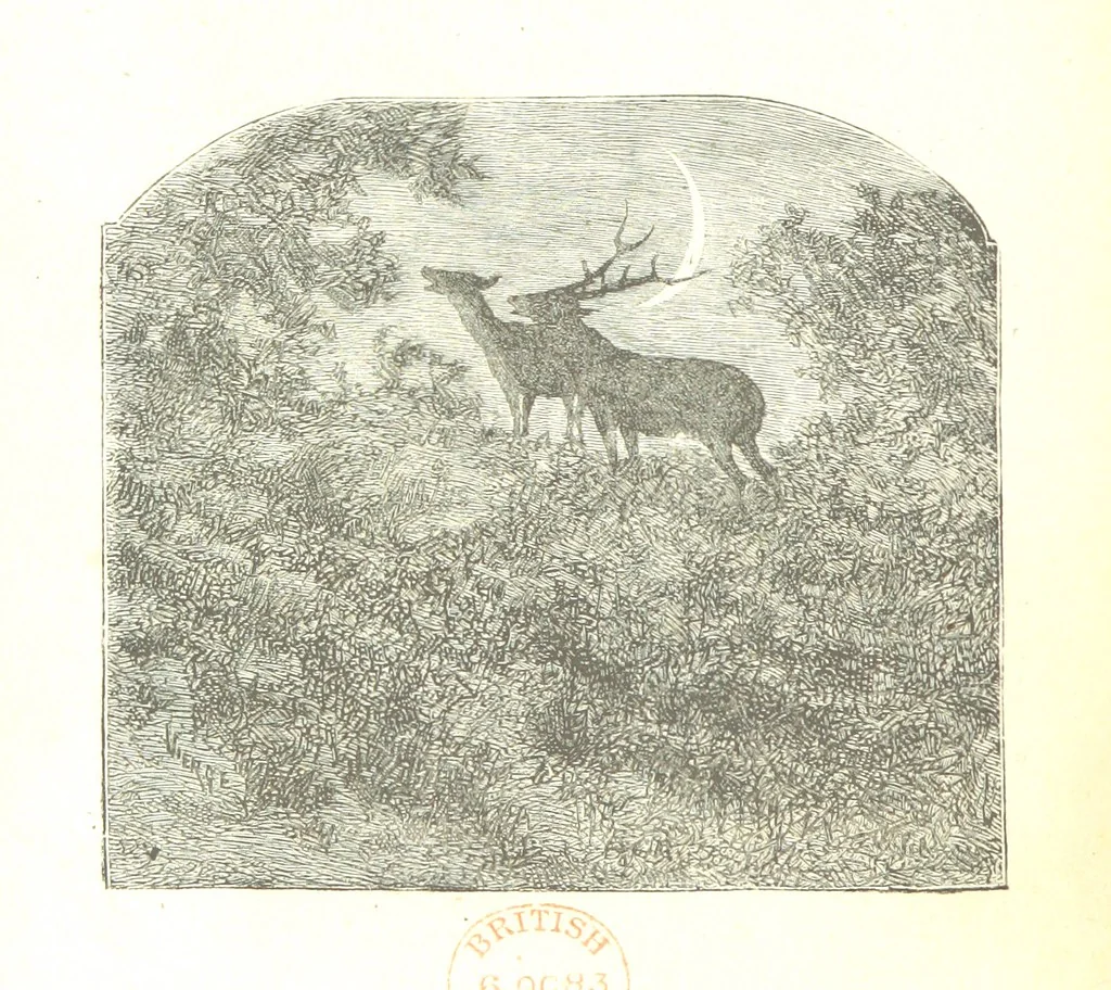 An illustration from Histoire de France. Deuxième édition, 1876, leaf 720