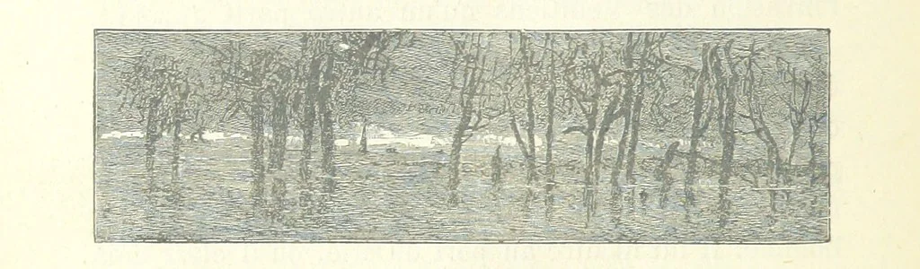 An illustration from Histoire de France. Deuxième édition, 1876, leaf 658