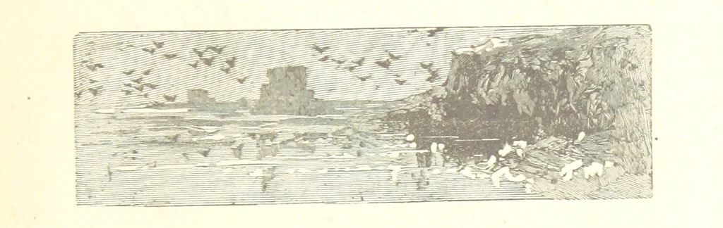 An illustration from Histoire de France. Deuxième édition, 1876, leaf 775