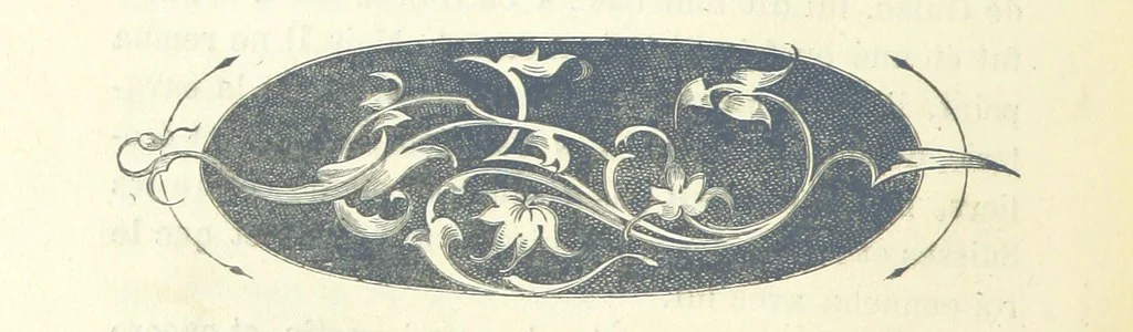 An illustration from Histoire de France. Deuxième édition, 1876, leaf 216