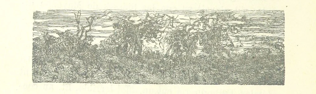An illustration from Histoire de France. Deuxième édition, 1876, leaf 342
