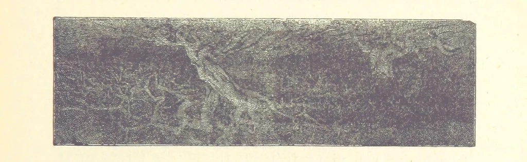 An illustration from Histoire de France. Deuxième édition, 1876, leaf 363