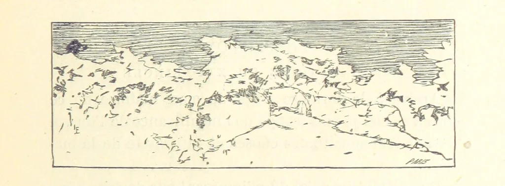 An illustration from Histoire de France. Deuxième édition, 1876, leaf 401