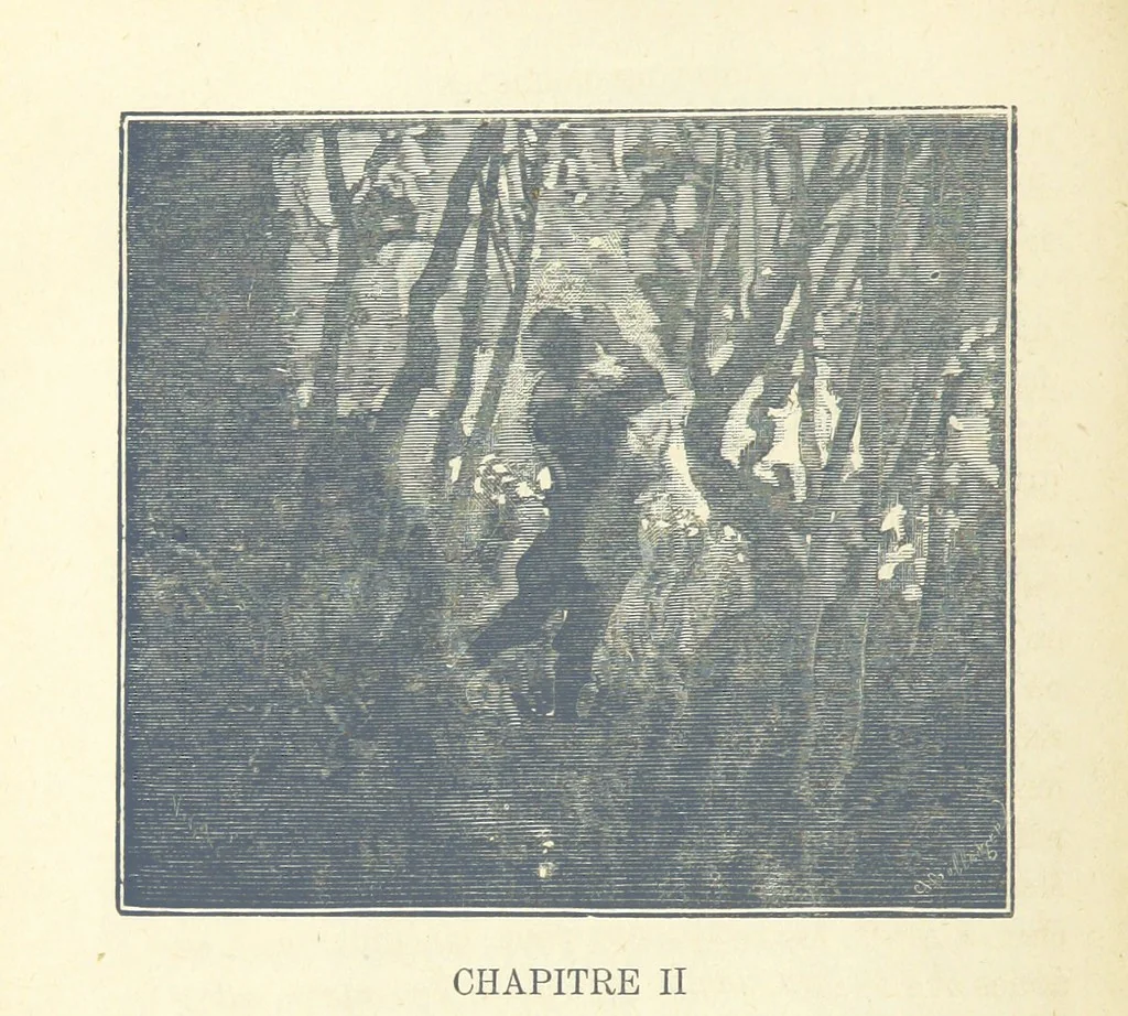 An illustration from Histoire de France. Deuxième édition, 1876, leaf 460