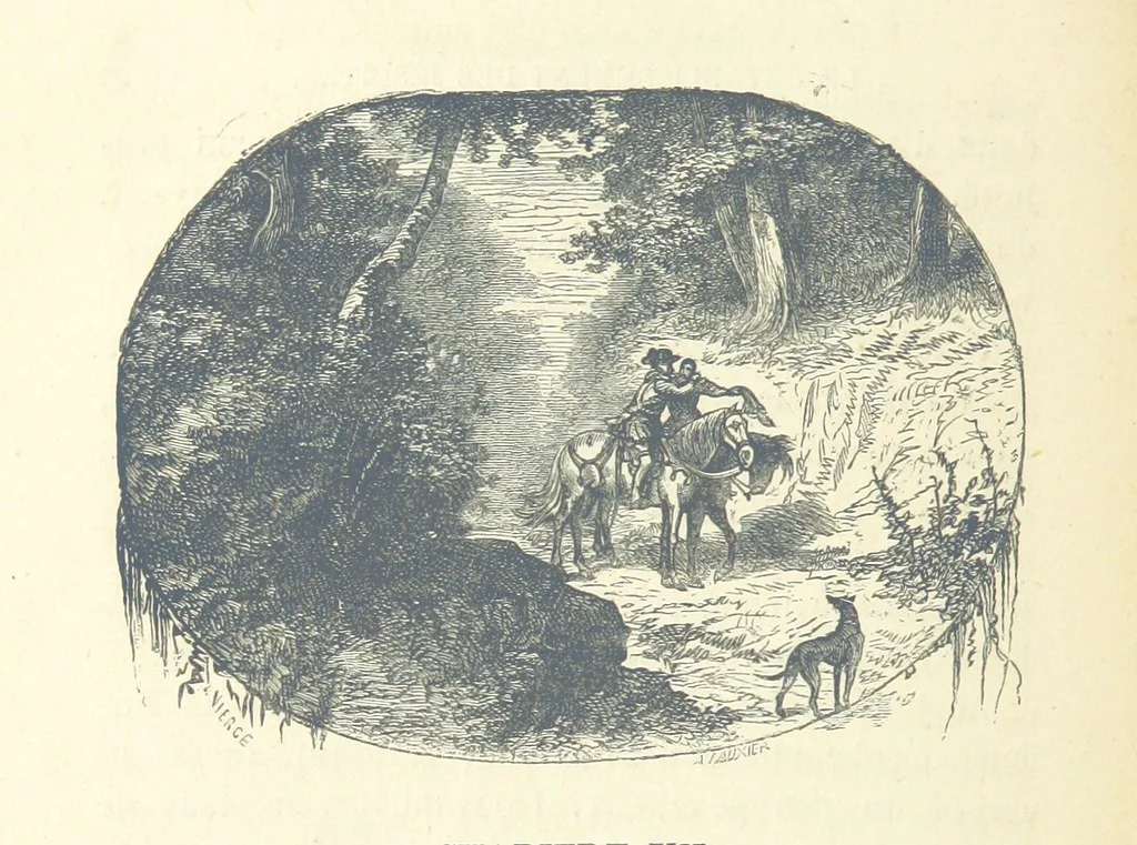 An illustration from Histoire de France. Deuxième édition, 1876, leaf 546