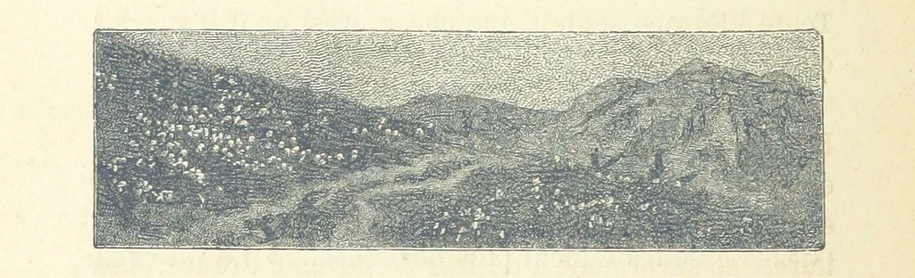 An illustration from Histoire de France. Deuxième édition, 1876, leaf 560